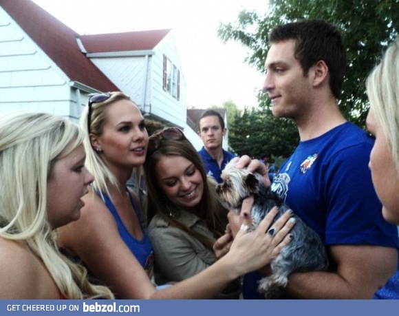 I guess I must buy a cute dog now ;-)