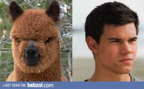 You can't miss that!