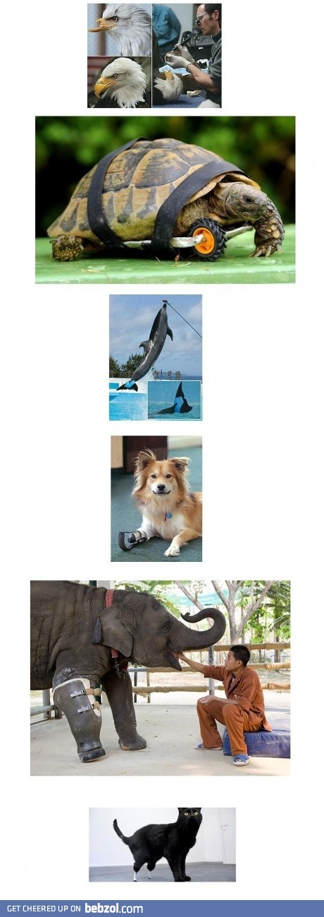 Everyone deserves the second chance