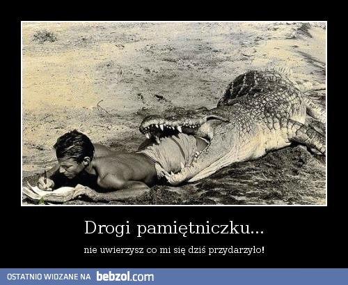 Drogi pamiętniczku!