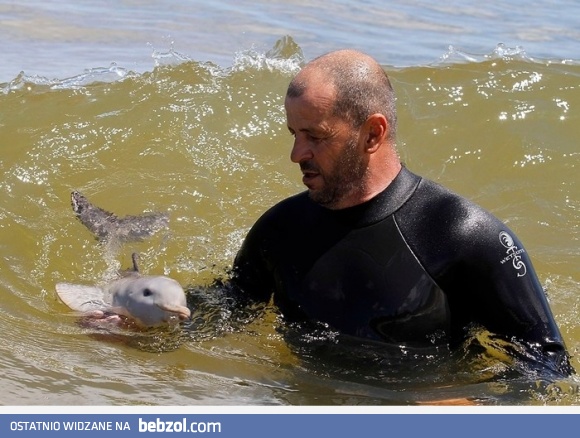 Słodki mały delfinek