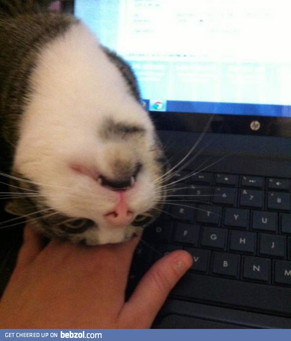 Come on, play with me!