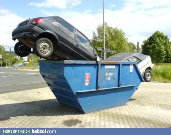 That must be females...