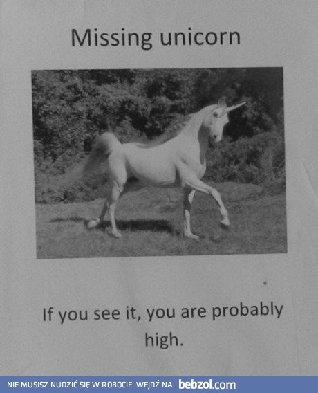 Zaginął jednorożec