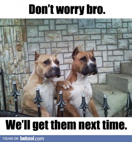 Don't worry bro!