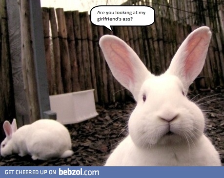 What are you looking at?!