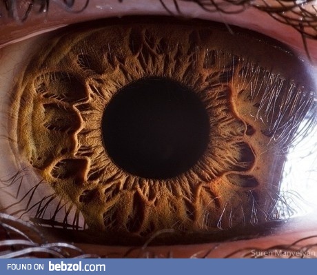 True beauty is so close!