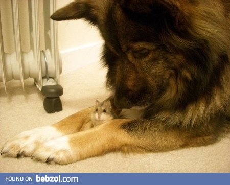 Don't worry bro, got you completely covered!