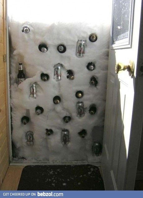 Outdoor fridge