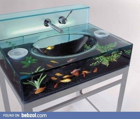 Awesome fish tank