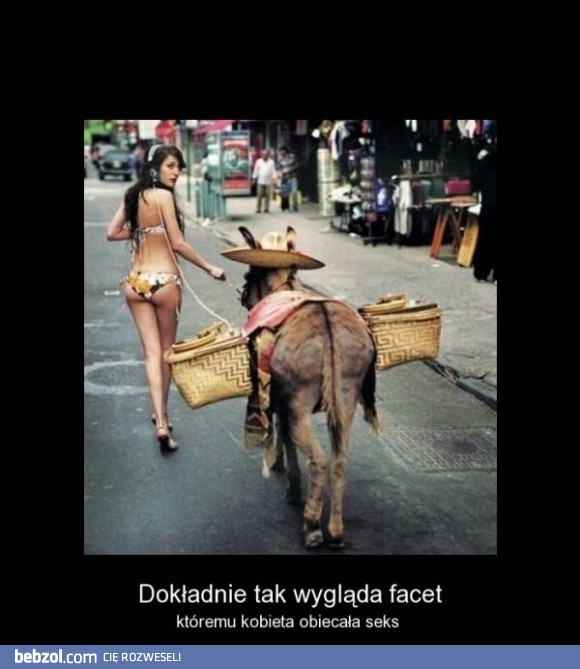 Facet jest jak osioł...