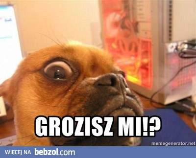 No chyba oszalałeś?!