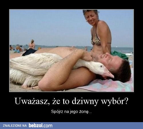 Nie taki dziwny wybór