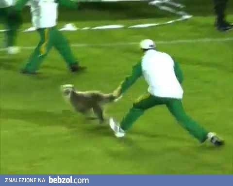 Kibol wbiega na murawę i przerywa mecz... 