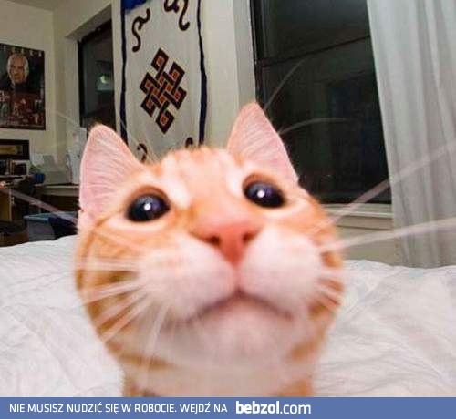 Dzień dobry. Uśmiech!