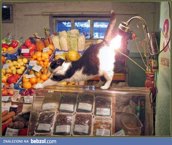 Prawie jak kaloryfer