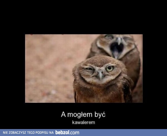 A mogłem być kawalerem...