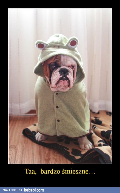 Bardzo śmieszne...