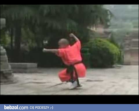 Dziecko z klasztoru Shaolin 