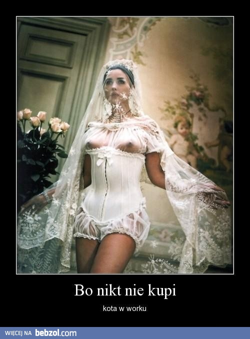 Nie kupuj kota w worku!