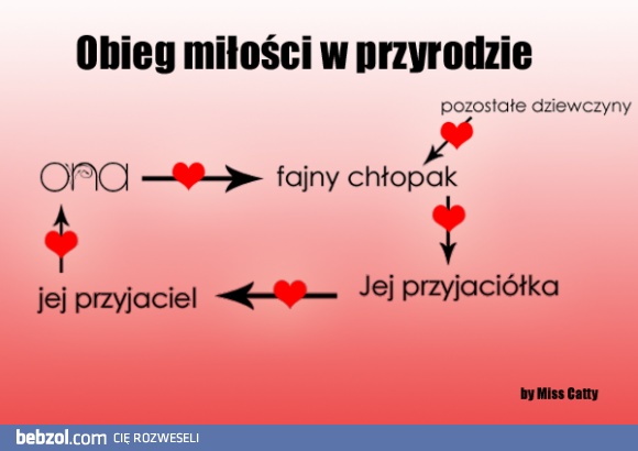 Obieg miłości