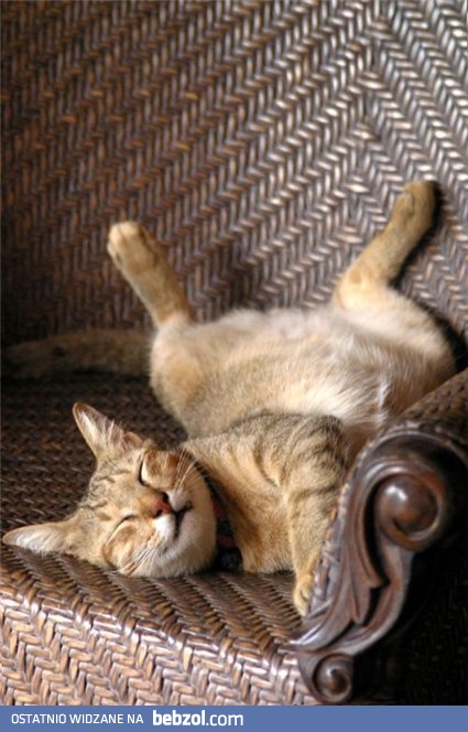 Mogę spać w każdej pozycji...