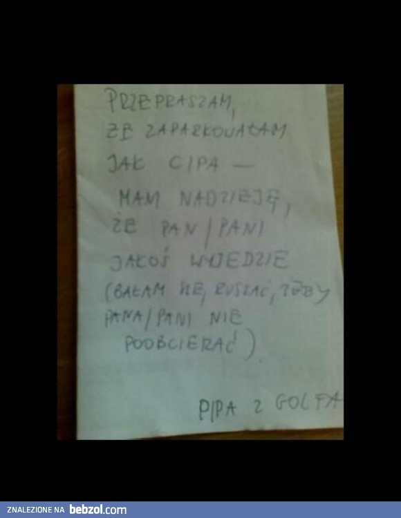 Zaparkowała jak cipa