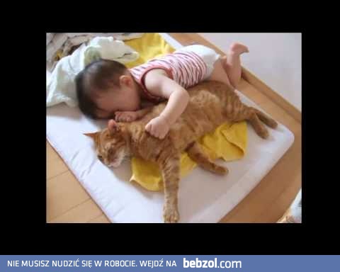 Tak cierpliwego kota rzadko się spotyka!