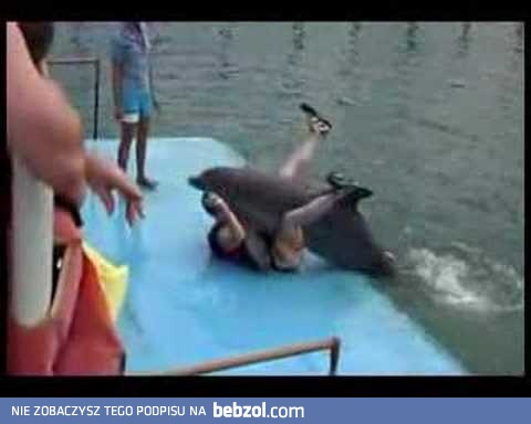 Przeciwności się przyciągają...