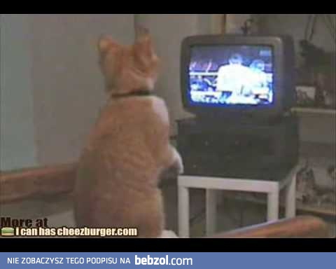  Trudno opanować emocje - nawet temu kotu...