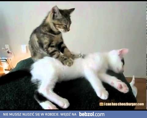 Czas na relax po długim i męczącym dniu