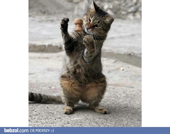 Niewidzialny szampan