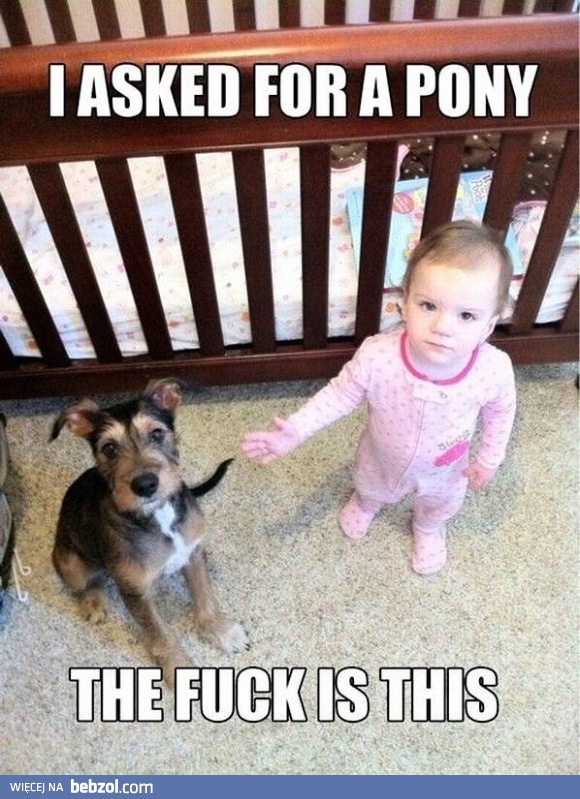 Prosiłam o kucyka, a co dostałem?!