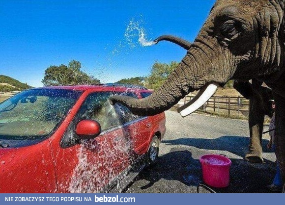 Myjnia samochodowa w Azji
