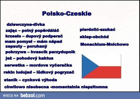 Dlatego czeski język tak nas bawi!