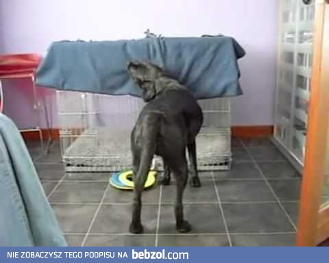 Jak sobie pościelisz, tak się wyśpisz