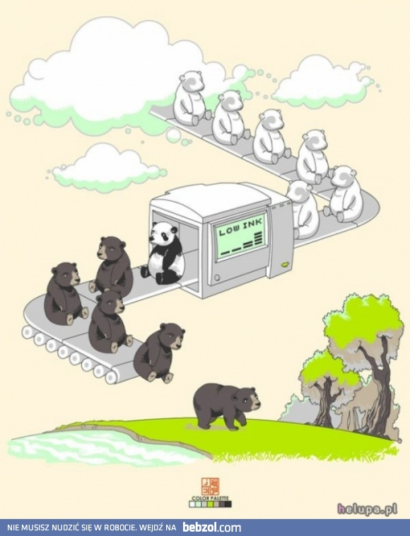 Jak powstały pandy?