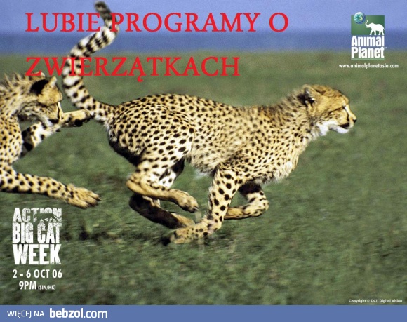 program zwierzecy