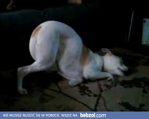 Nie, ja nie śpię...