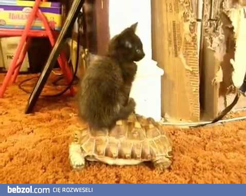 Każdy podróżuje tak, jak mu się podoba...