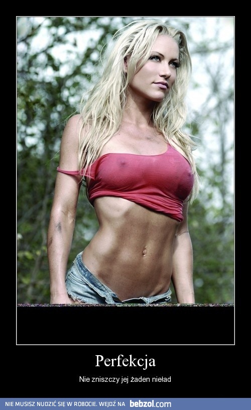 Perfekcja