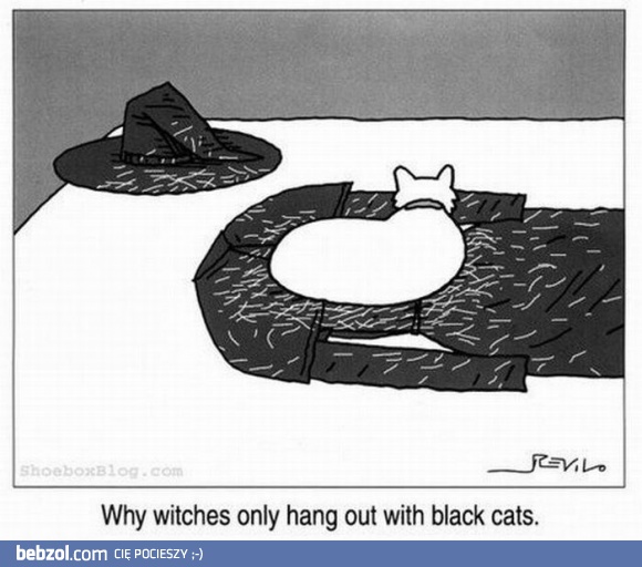 Dlaczego wiedźmy wolą czarne koty?