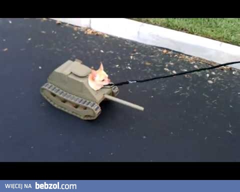 Czołgiem na spacer