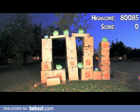 Angry Birds w prawdziwym życiu