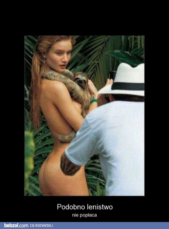 Lenistwo nie popłaca?