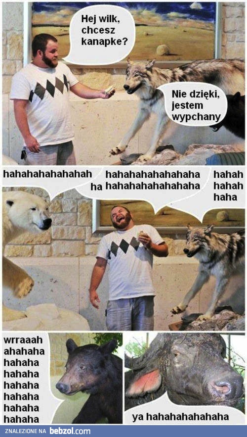 Ej wilk, chcesz kanapkę?