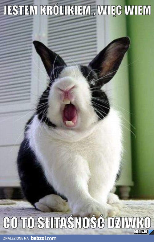 Wiem co to słitaśność!