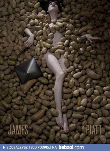 Ziemniaki - wszyscy je lubimy!