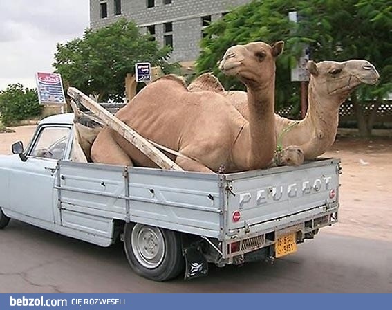 Dobry szef dba o swoich pracowników..!