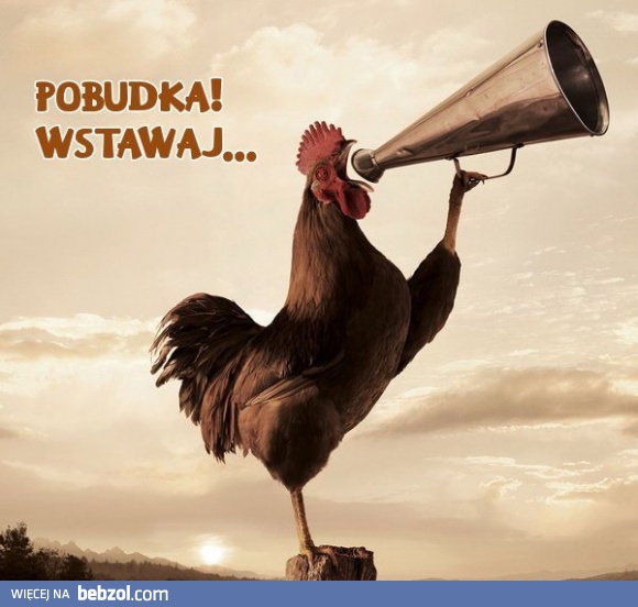 Od poniedziałku do piątku! Niestety...